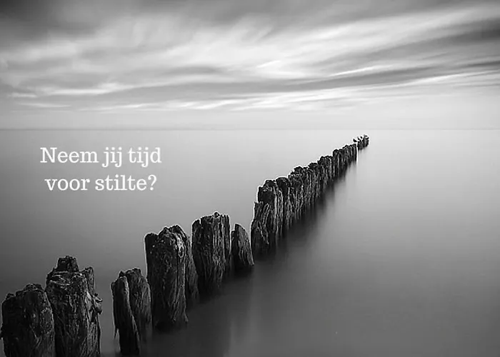 Logies 't Eenvoud - Simple Comfort & Quiet - To Reset And Recharge Near The *